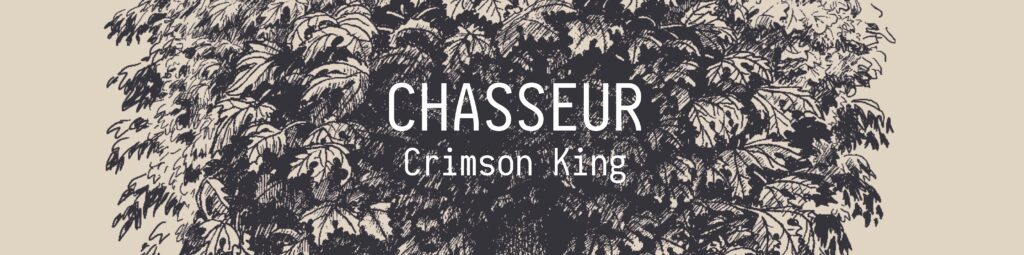 Paroles Textes CHASSEUR Musiques Crimson King